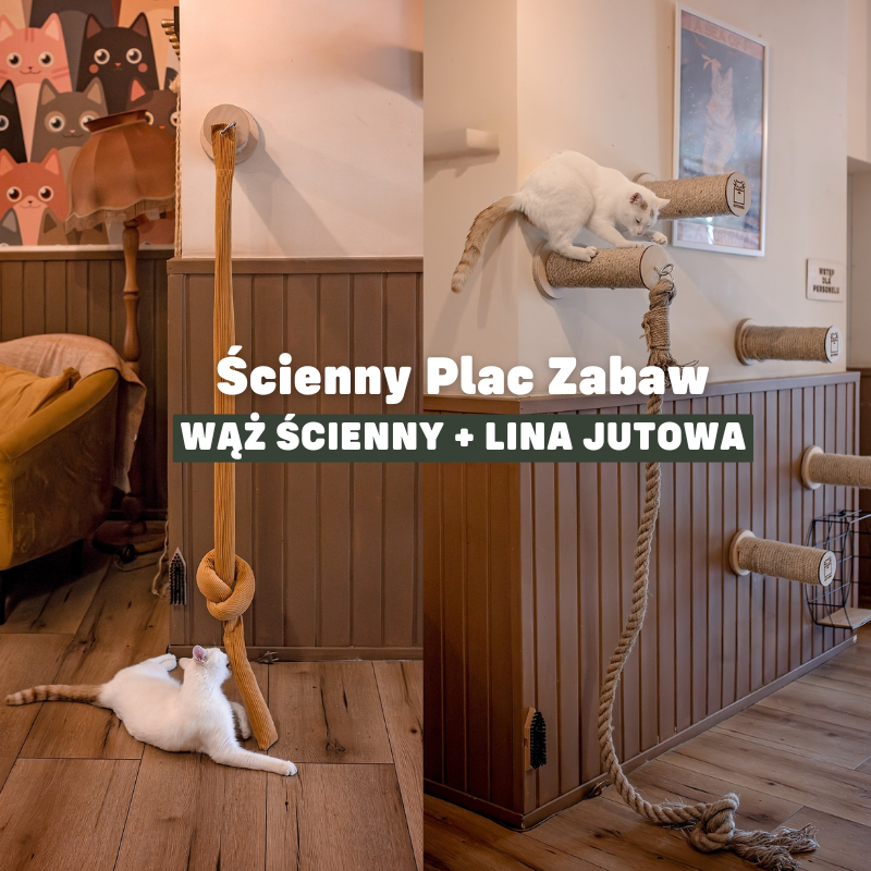 zabawka-drapak-scienny-dla-kota-lina-i-wąż-sensoryczny-zestaw-kotiowo.webp