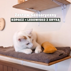 zestaw-sensoryczny-dla-kota-kopacz-z-luska-gryki-na-kocimietke-legowisko-z-gryka-kotiowo.webp