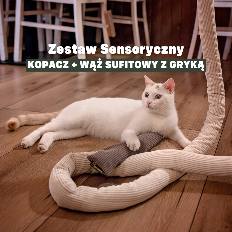 zabawki-sensoryczne-dla-kota-kopacz-i-waz-z-luska-gryki-kotiowo.webp