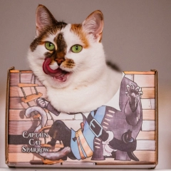 cat box cat sparrow pudelko dla kota legowisko kotiowo.webp