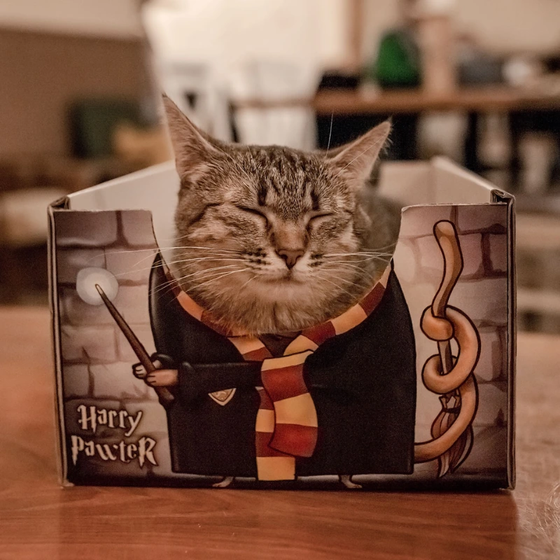cat box harry pawter pudelko dla kota legowisko kotiowo.webp