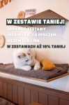 wyprawka dla kota zestaw sensoryczny z luska gryki antyalergiczny kotiowo.webp