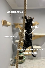 Lina do wspinaczki dla kota koci plac zabaw kotiowo.webp