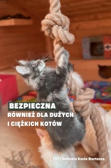 lina zabawka dla duzych kotow maine coon kotiowo.webp