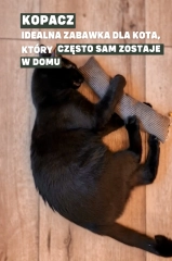 kopacz zabawka dla kota kiedy zostaje w domu kotiowo.webp