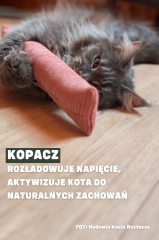 kopacz zabawka sensoryczna dla kota na smaczki kocimietke kotiowo.webp