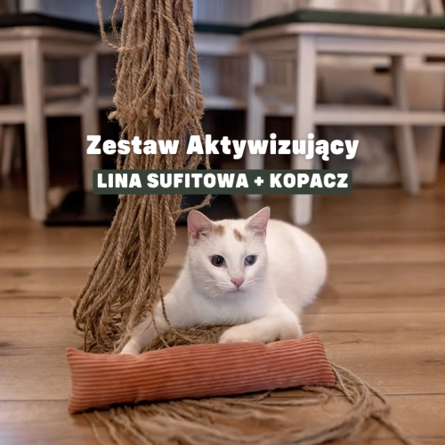 Zestaw aktywizujący kota: lina sufitowa do wspinaczki + kopacz na kocimiętkę i smaczki