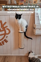 drapak montaż do ściany wytrzymały trwały kotiowo.webp