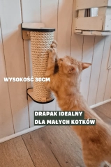 drapak dla małego kota kociaka ścienny kotiowo.webp