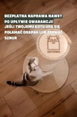 wytrzymały drapak dla kota kołek drewniany duże koty kotiowo.webp