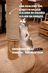 solidny trwały drapak drewniany dla kota stojący kotiowo.webp