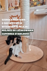 solidny wytrzymały drapak dla kota z miejscem do leżenia kotiowo.webp