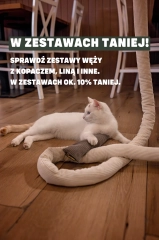 zestawy-zabawek-sensorycznych-z-gryka-dla-kotow-kotiowo.webp