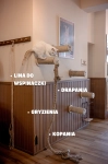 lina do wspinaczki dla kota z drewnianym drapakiem koci plac zabaw kotiowo.webp