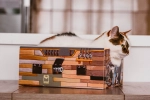 cat-box-cat-bed-legowisko-dla-kota-cat-sparrow-kotiowo.webp