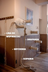 lina do wspinaczki dla kota z drewnianym drapakiem koci plac zabaw kotiowo.webp