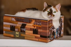 cat-box-cat-bed-sparrow-kotiowo.webp