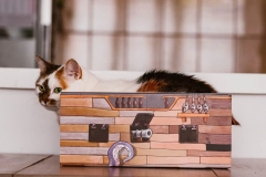 cat-box-cat-sparrow-pudelko-legowisko-dla-kota-kotiowo.webp
