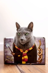 harry pawter cat box pudelko legowisko dla kota kotiowo.webp