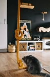 wąż climber drapak kotiowo