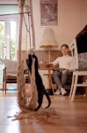 ein Seil zum Klettern und Kratzen für eine Katze rope for cats kotiowo