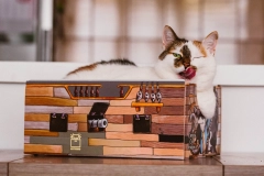 legowisko dla kota cat box z poduszką z łuską gryki kotiowo.webp